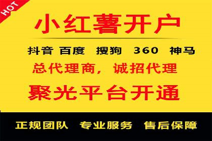 百度优化推广案例：打造行业领先品牌